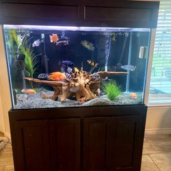 Fish tank