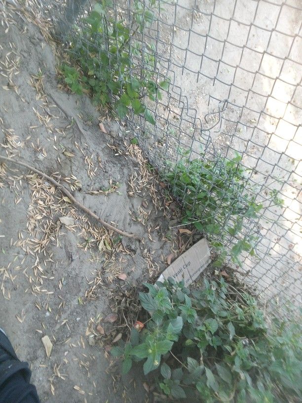 Access
