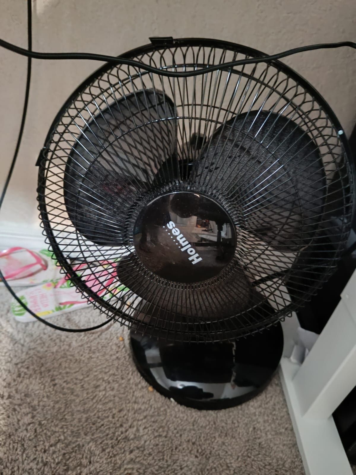 Fan For Sale