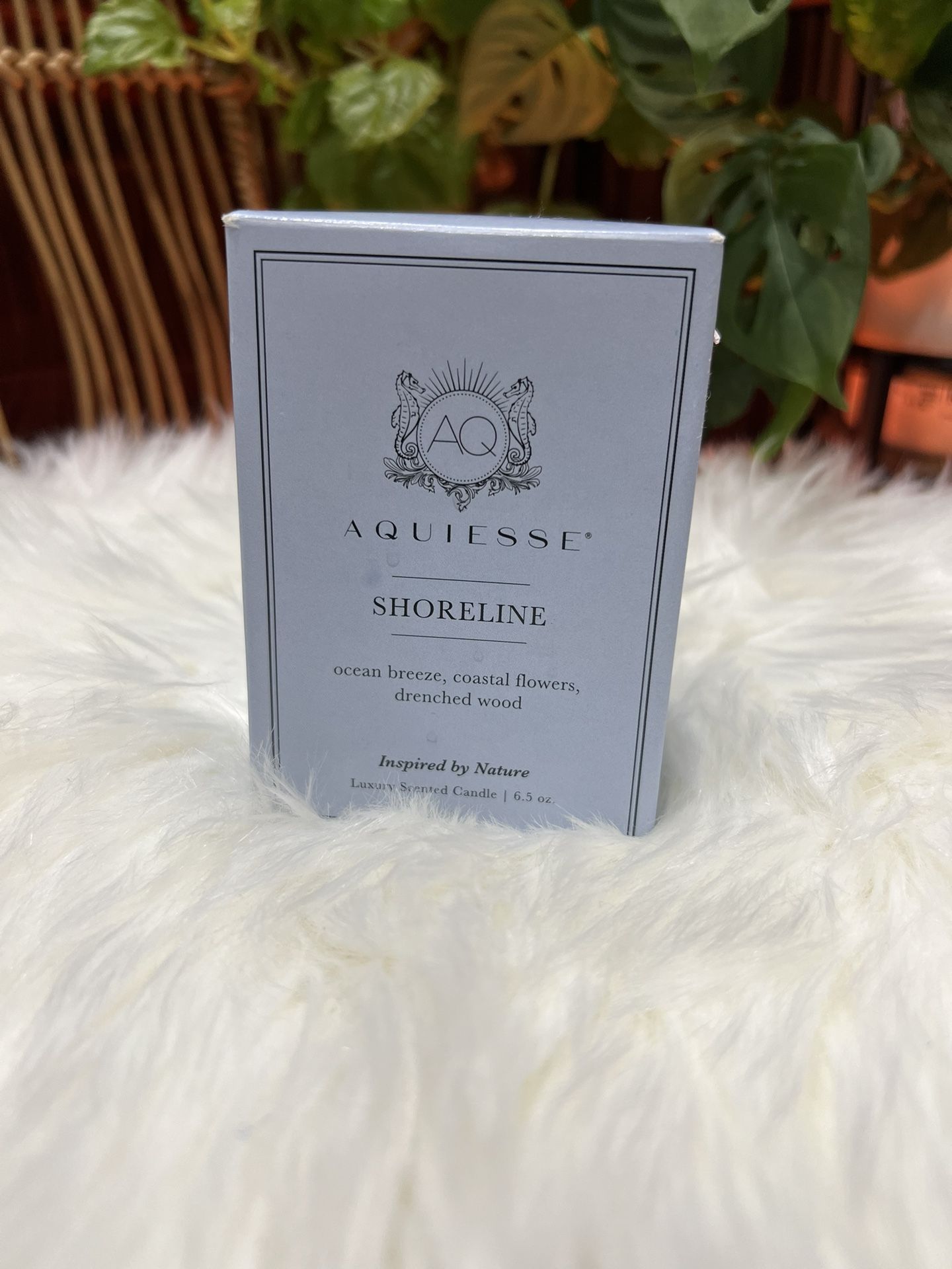 New In Box Aquiesse Shoreline Candle 6.5 oz Ocean Breeze Coastal Flowers Wood