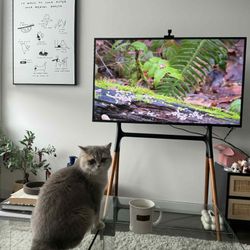 44” Samsung Tv + Stand