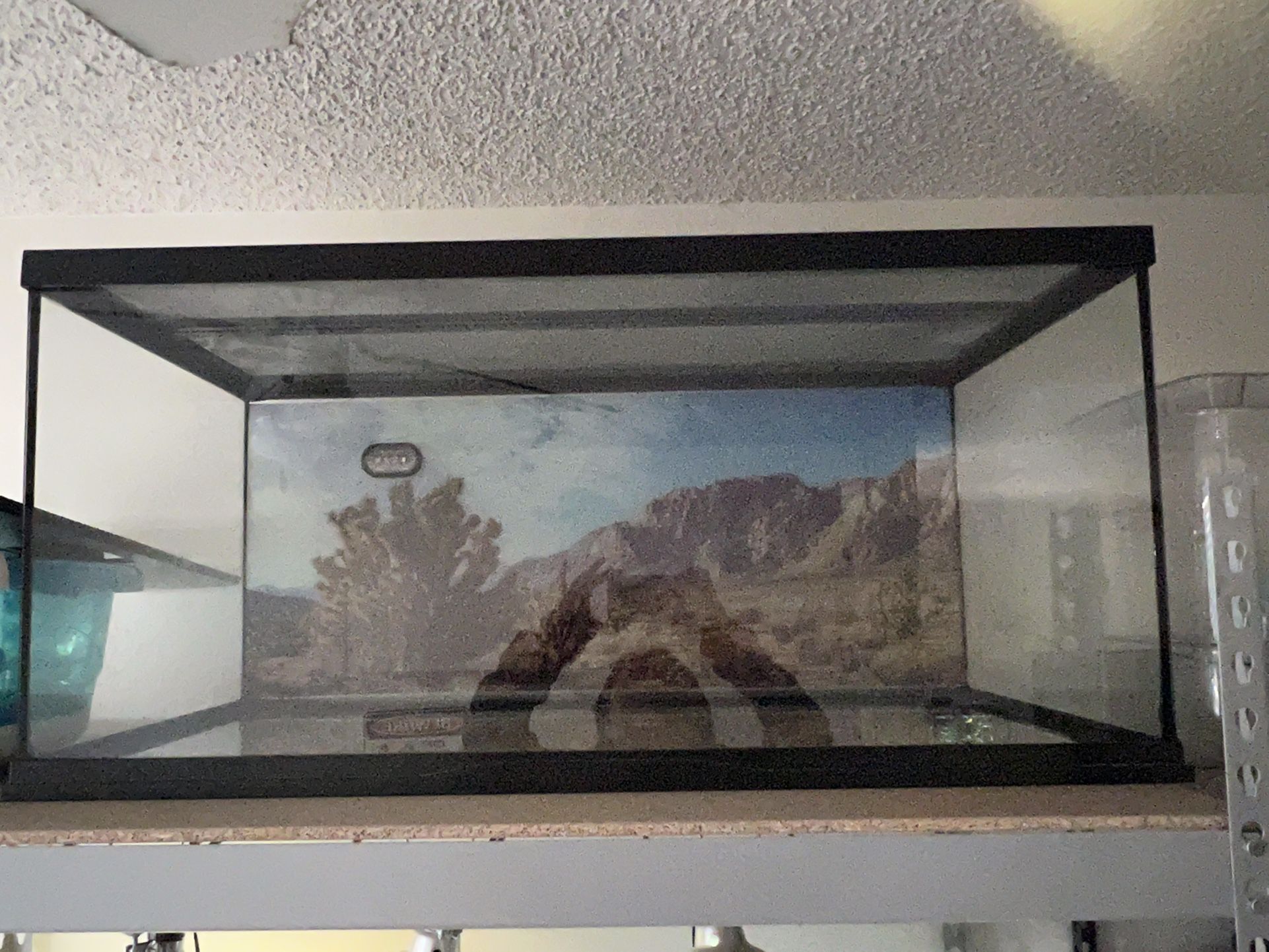 40 Gallon Reptile Tank