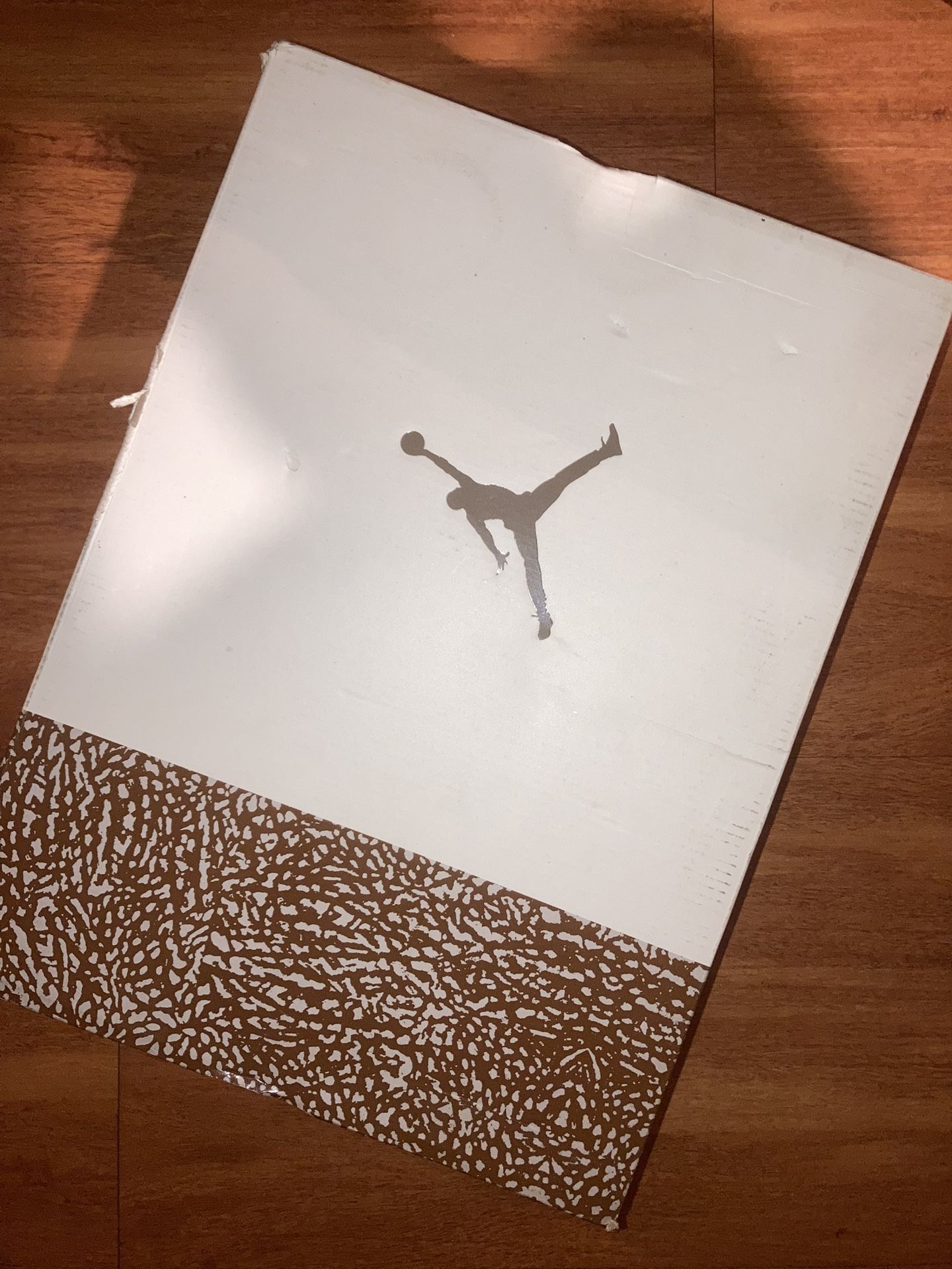 Jordan 3