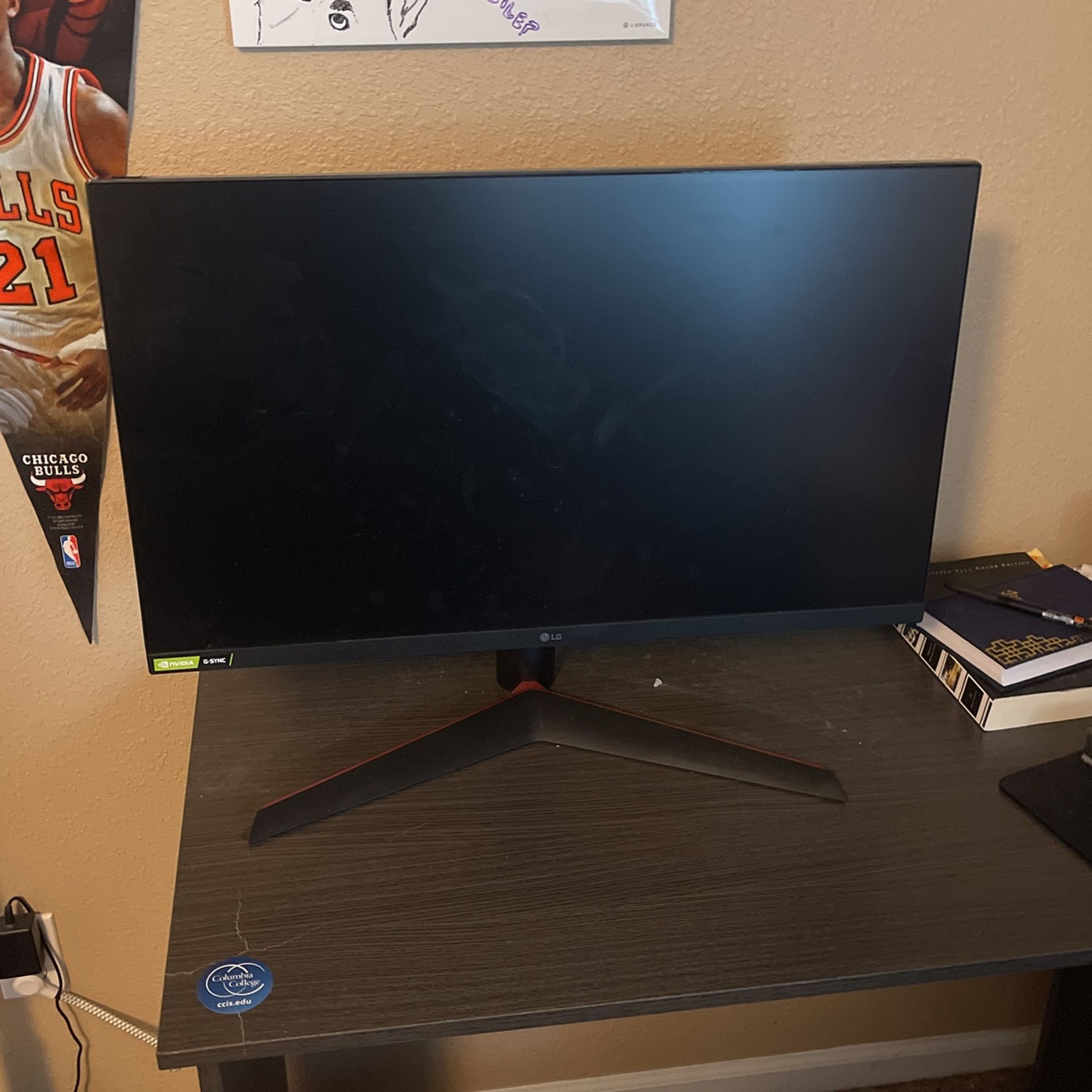 LG 27” Gaming Monitor