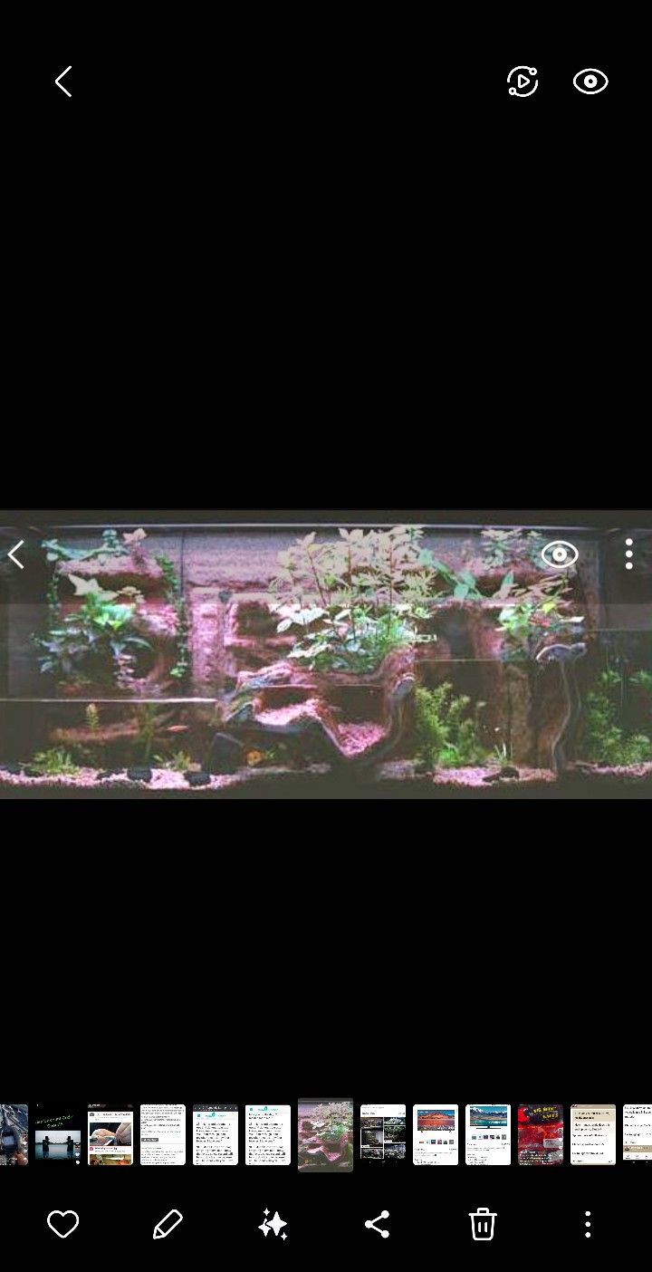 55 Gallon River System Aquarium
