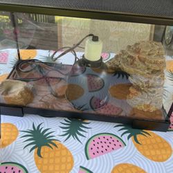 Reptile Tank