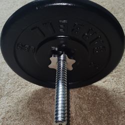 Curl Bar  With 50lbs Iron Plates. 