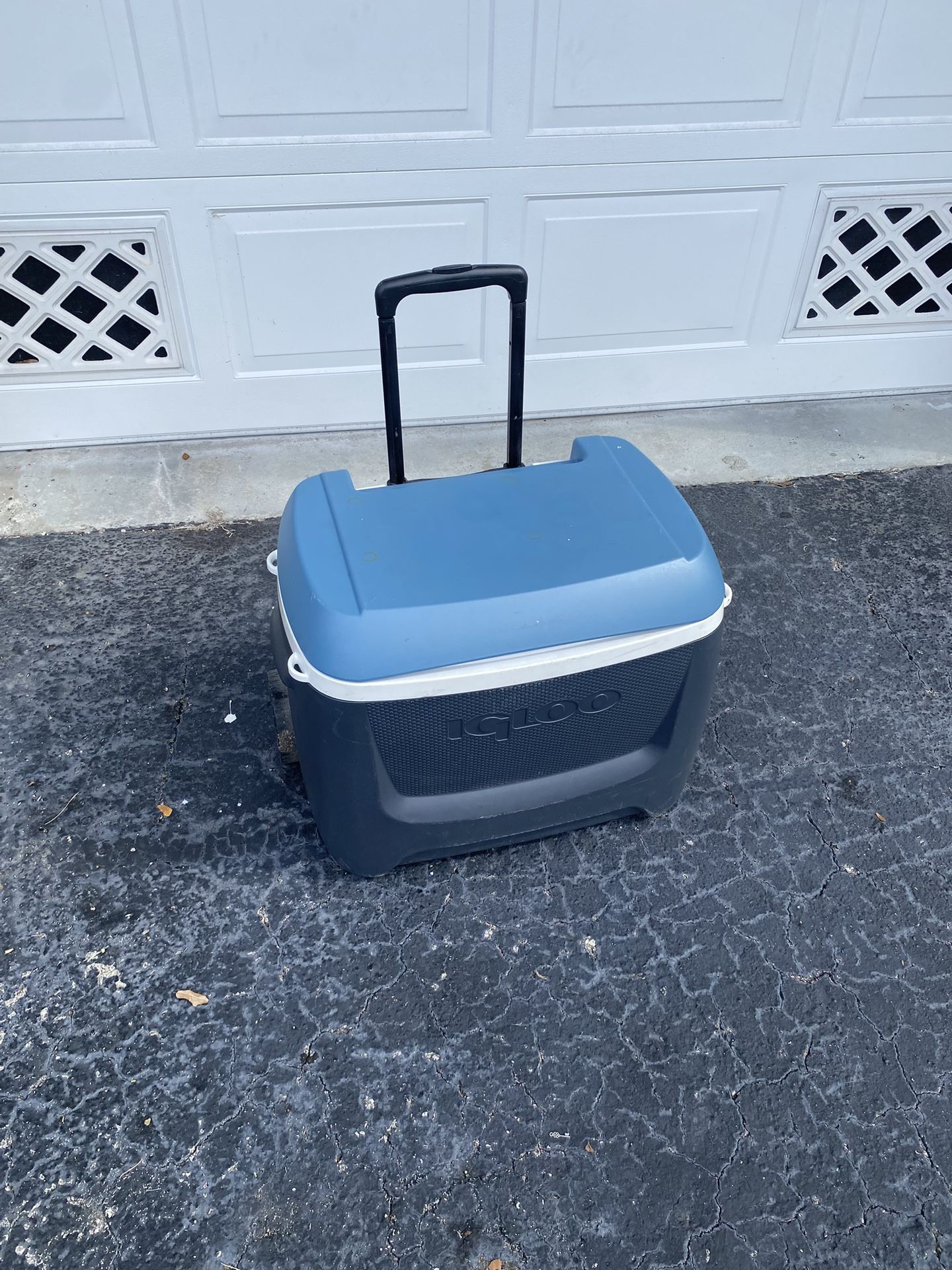 Rolling Igloo Cooler