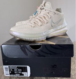 Lebron 17