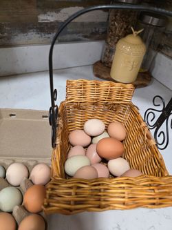 farm 🥚 eggs
