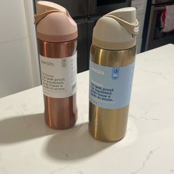 Owala - Holiday Collection Target 