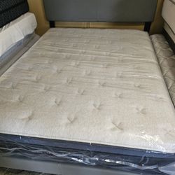 New Queen Size Bed 🌙 