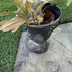Garden Plant Pot In Perfect Condition