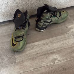 Nike LeBron Basketball Shoes