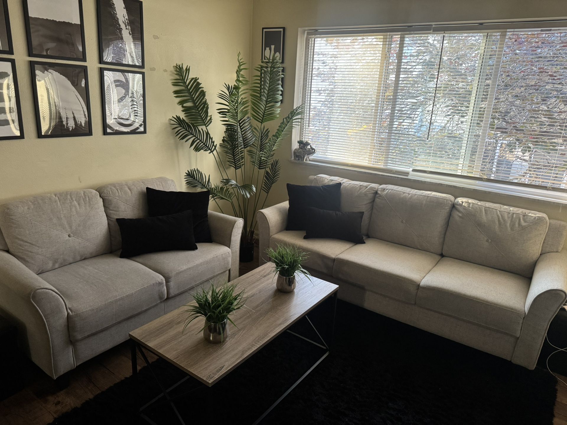 Sofa and Loveseat