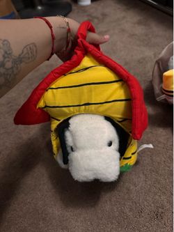 Snoopy & Dog house