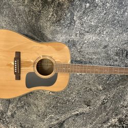 Washburn D10S Natural