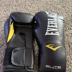 Everlast Punching Gloves Brand New