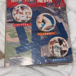 Binder Book Of Baseball Cards 