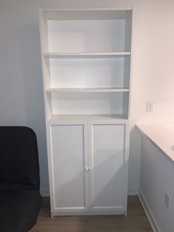 IKEA Billy Bookcase with Oxberg Doors