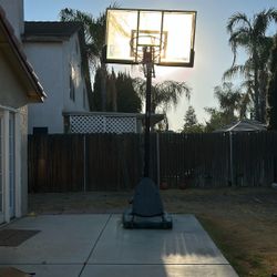 NBA basketball hoop