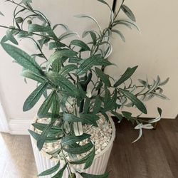 Olive 🫒 Artificial Plant With Vase And Stone 