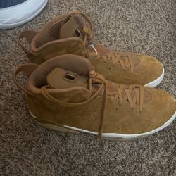 Jordan 6s