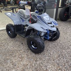 110cc Atv Fully Automatic Mini Size Sport ATV 4 Wheeler