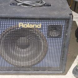 Roland Speaker 