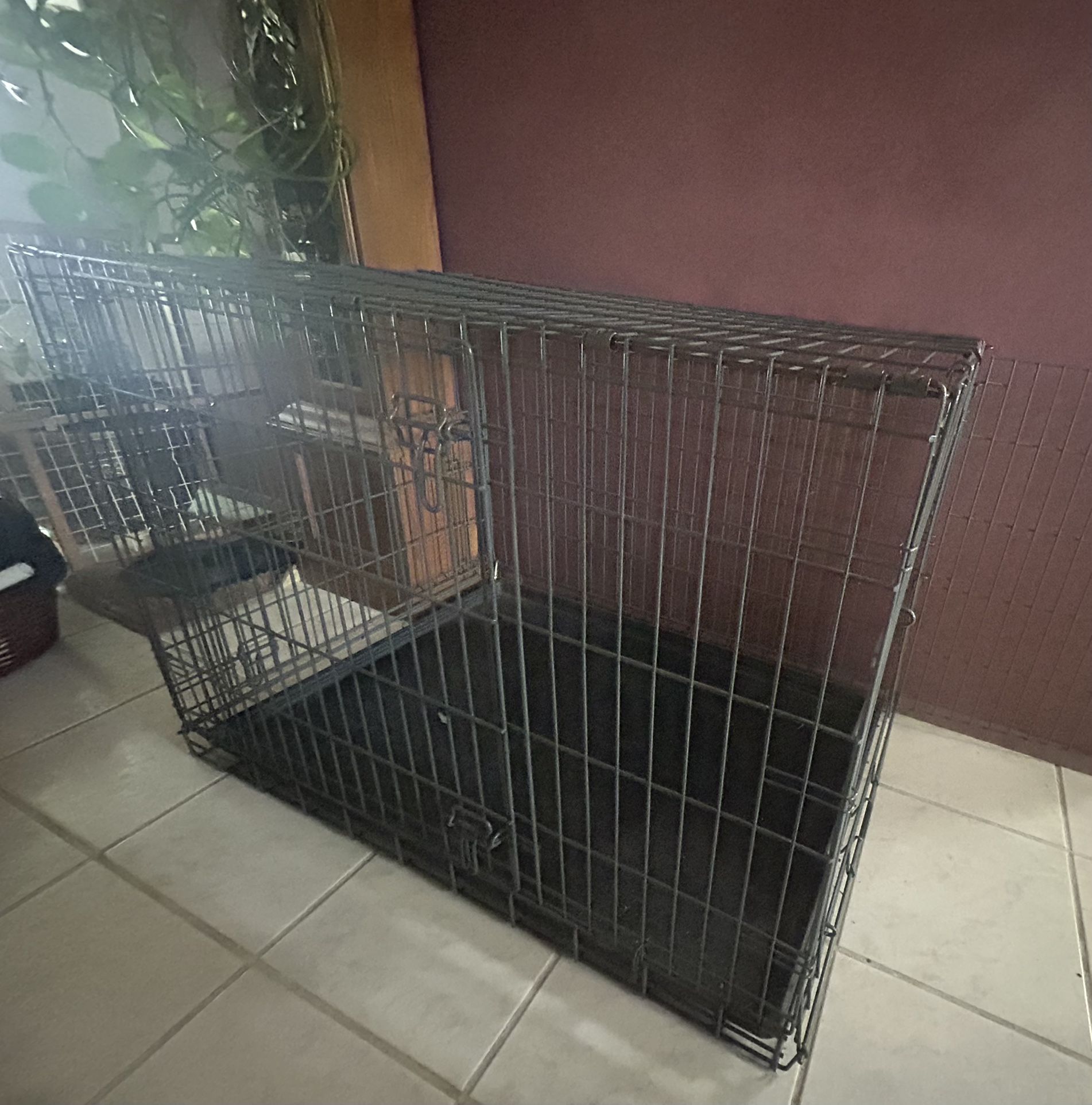 Dog Crate With a divider