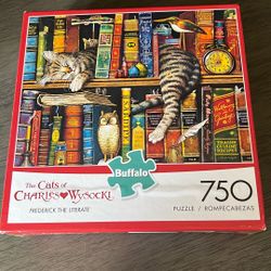 Library Cat Puzzle 