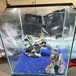 60 Gallon Rimless Cube Aquarium 