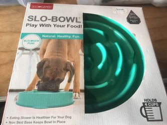 Slow feeding bowl