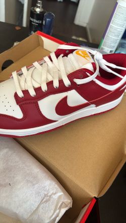 Bring New Nike Dunk Low Retro Size 9.5