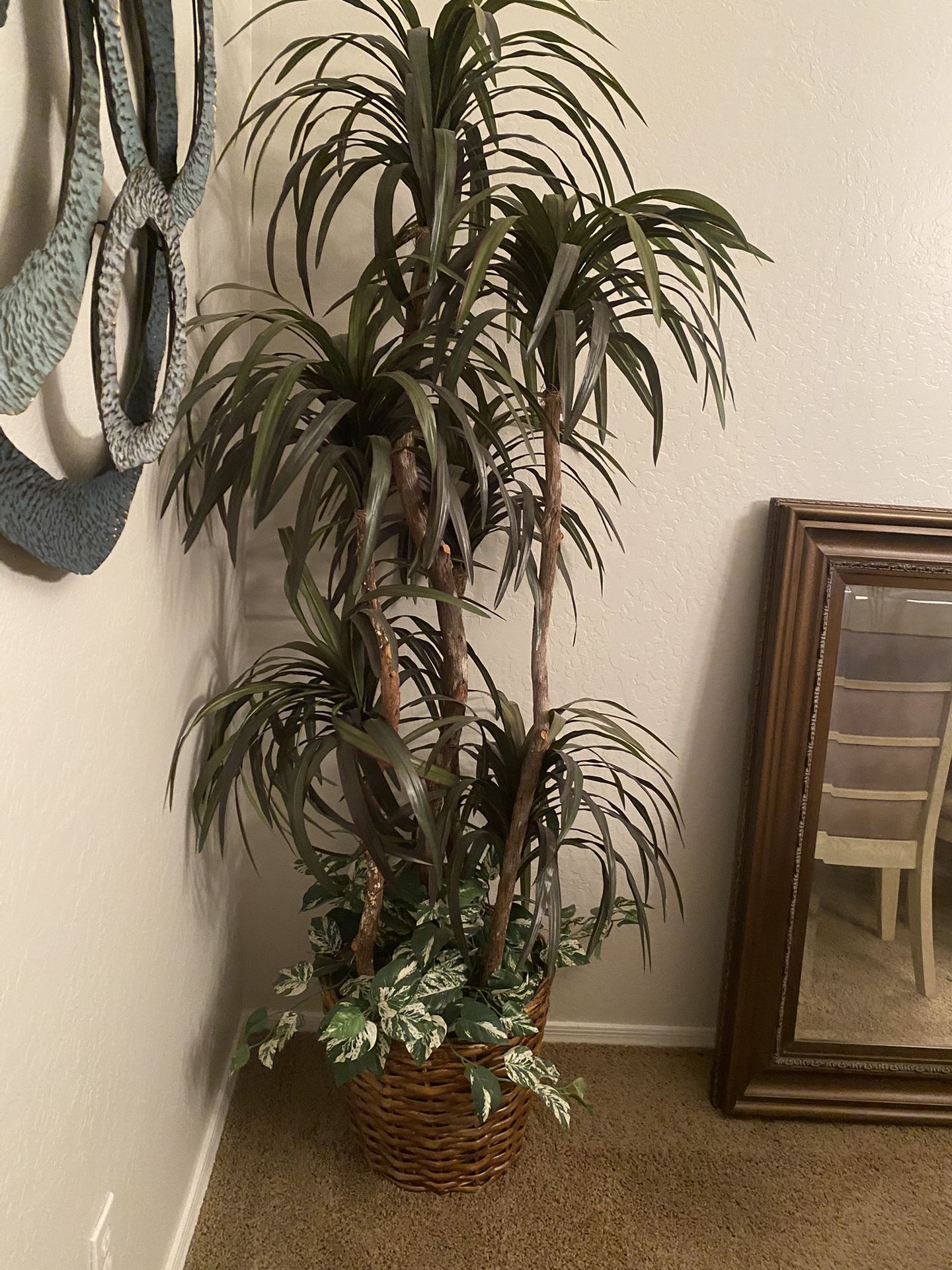Large Plant