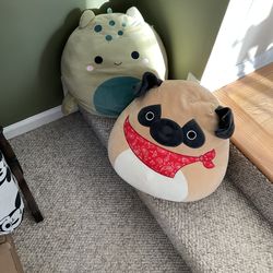 Mush mellow pillows for sale