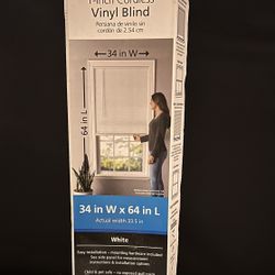 Vinyl Blind 