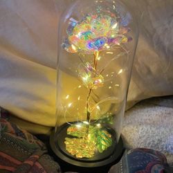Beautiful Gift