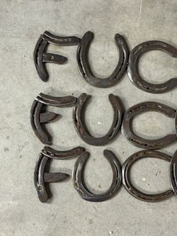 Custom Welded Horseshoe Sign