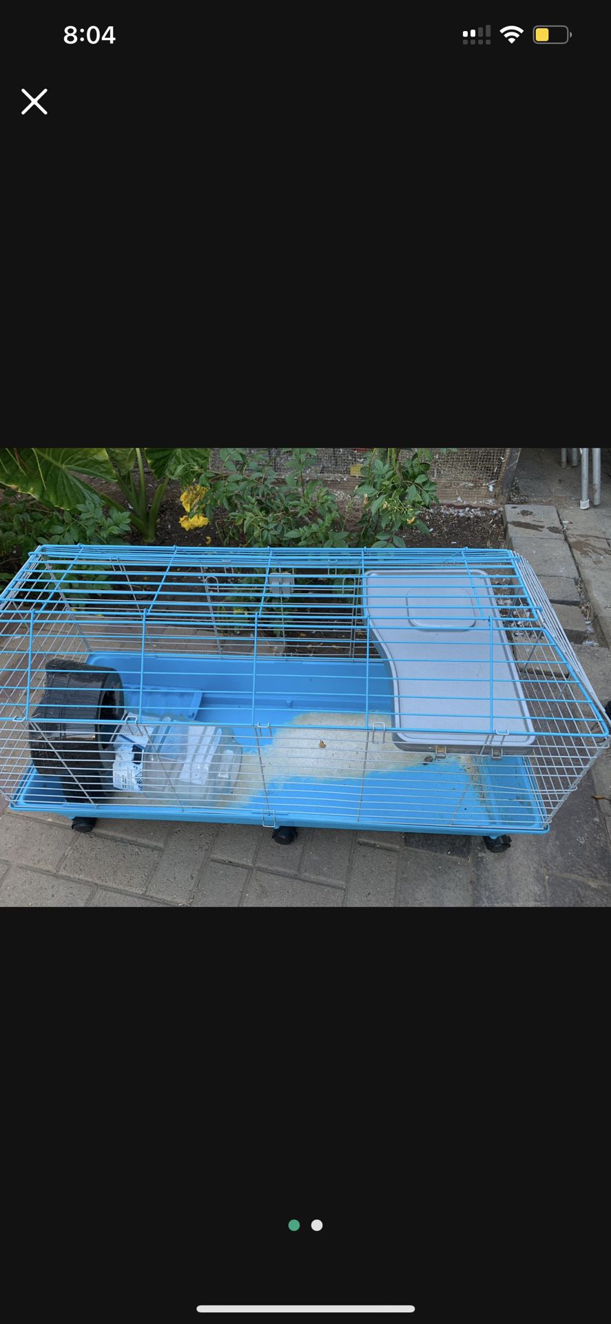 Cage And Carrier For A Guinea Pig