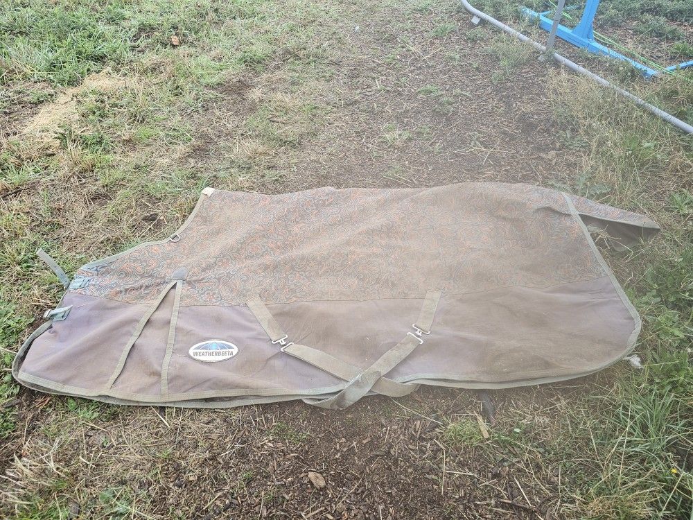 Weatherbeeta Medium Weight Turnout Blanket