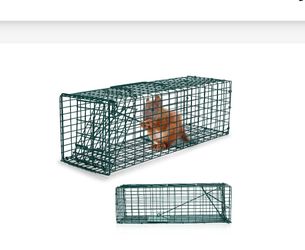 Qualirey 2 Pcs Humane Squirrel Trap Heavy Duty Live Animal Chipmunk Catch and Release Rat Trap for Outdoor Small Animals Mouse Raccoon Stray Cat Roden