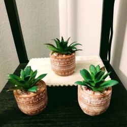 Mini Boho/farmhouse Terra Cotta Faux Suc