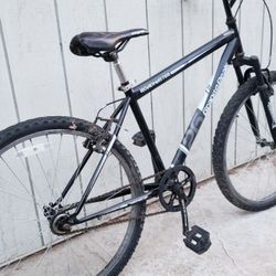 Road Master Bike/Mountain Bike