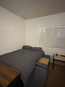 UCR housing for summer