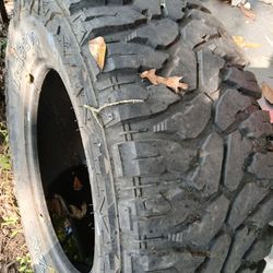 Yanta Usada 37por13,50 Rin 20 60