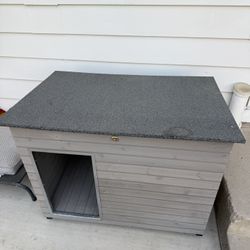 Dog House 