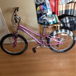 Pink Trek Mountain Bike 24 Inch 