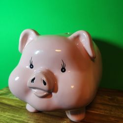 Pig piggy bank
