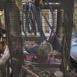 Huge Bird Cage’s